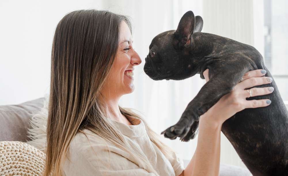 Healthy grain-free food for French Bulldogs