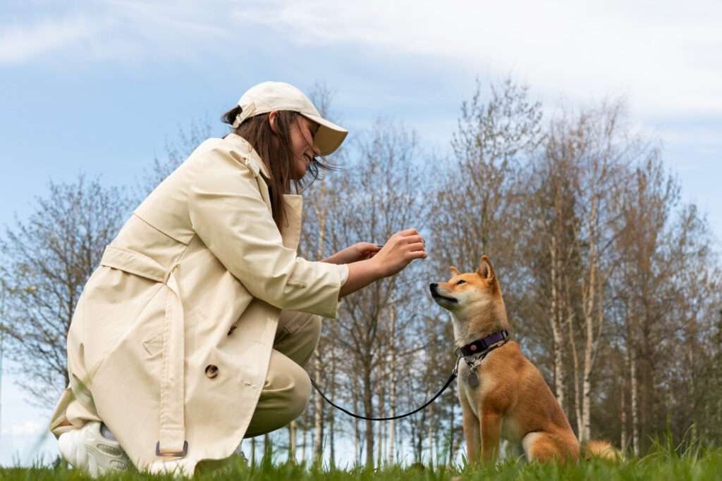 best dog food for golden retrievers