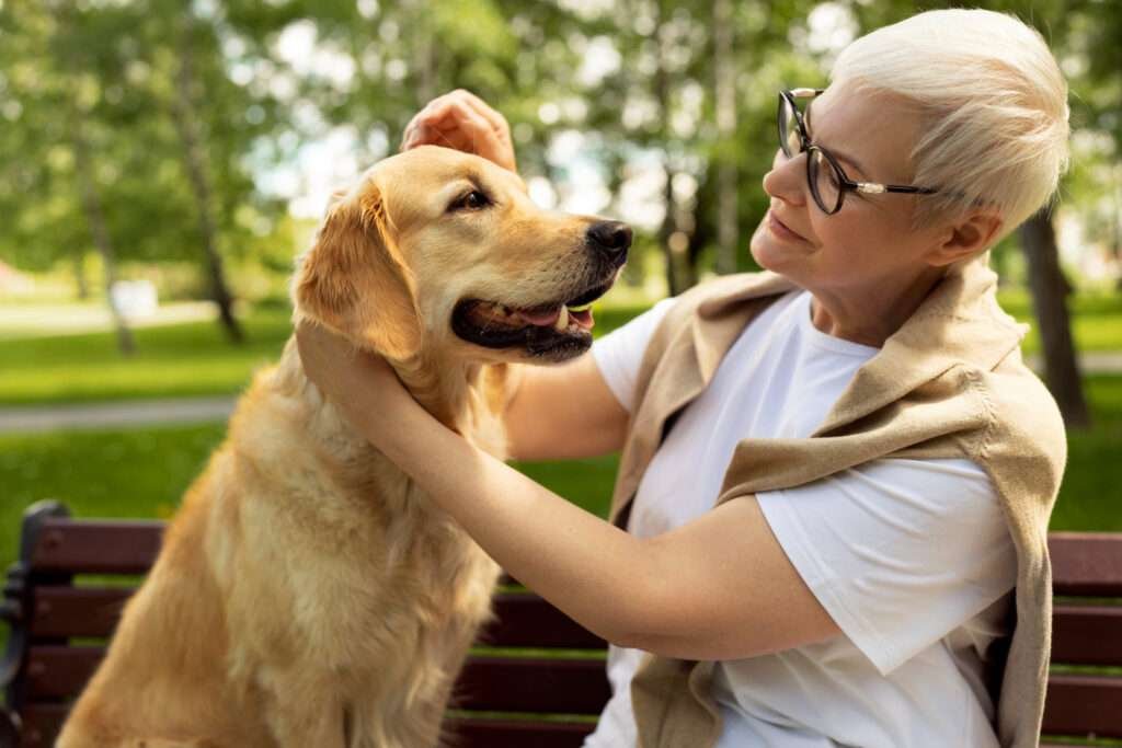 best dog food for golden retrievers