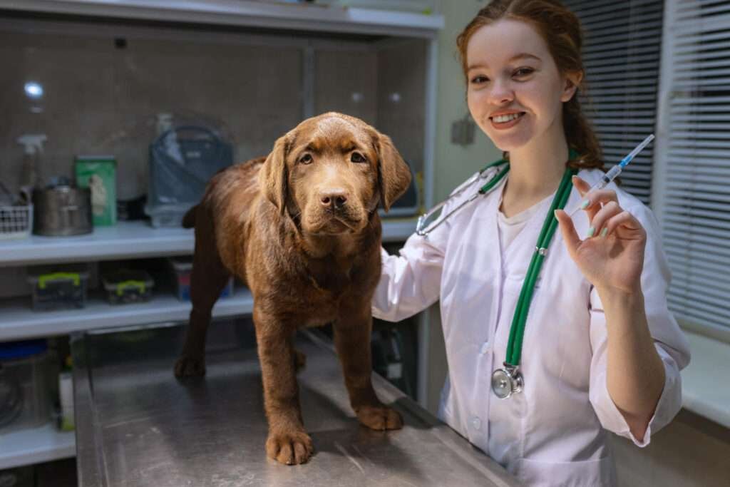 best dog food for golden retrievers